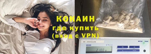 индика Богородицк
