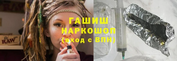 индика Богородицк