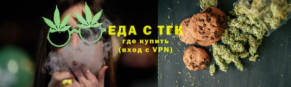 ECSTASY Богданович