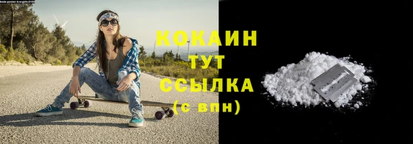 ECSTASY Богданович