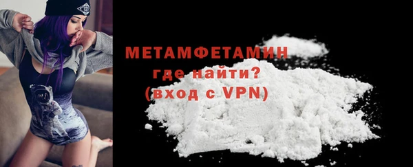 индика Богородицк