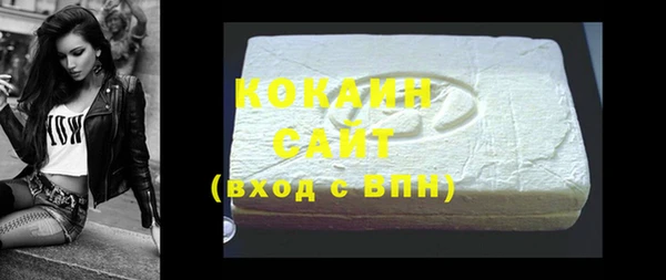 индика Богородицк