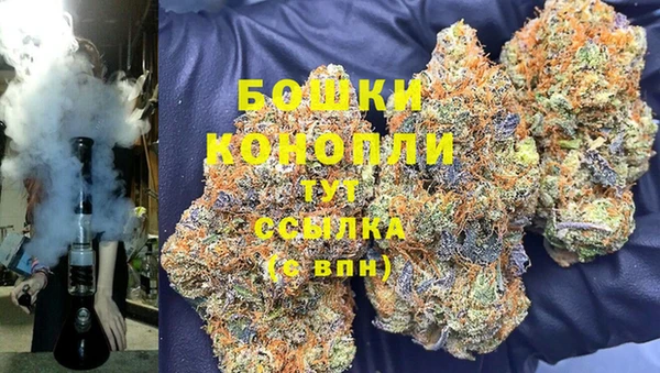 индика Богородицк