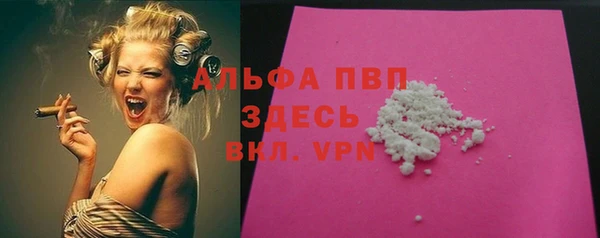 индика Богородицк