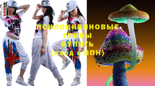 ECSTASY Богданович