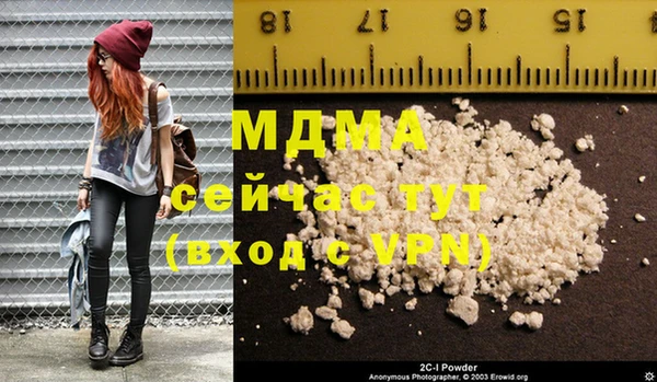 индика Богородицк