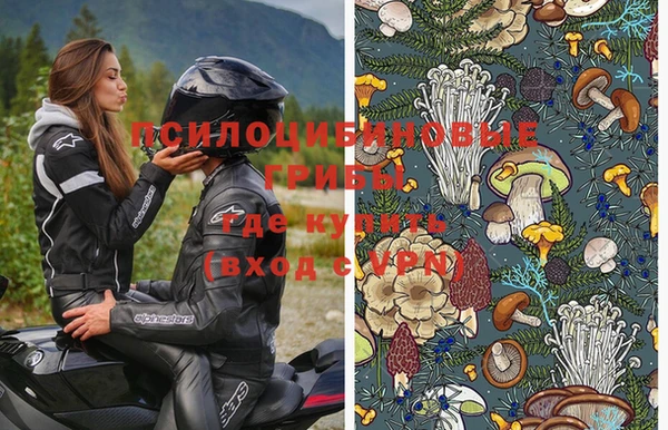 jwh Богородск