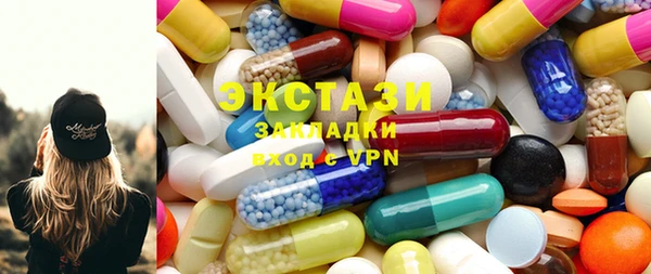 ECSTASY Богданович