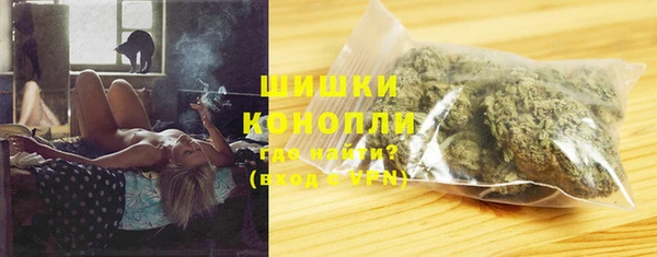 индика Богородицк