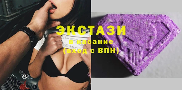 индика Богородицк