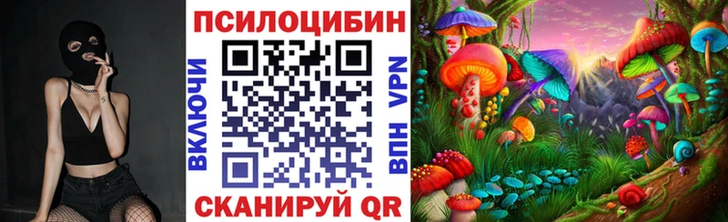 Купить где  Бежецк  Галлюциногенные грибы Psilocybine cubensis 